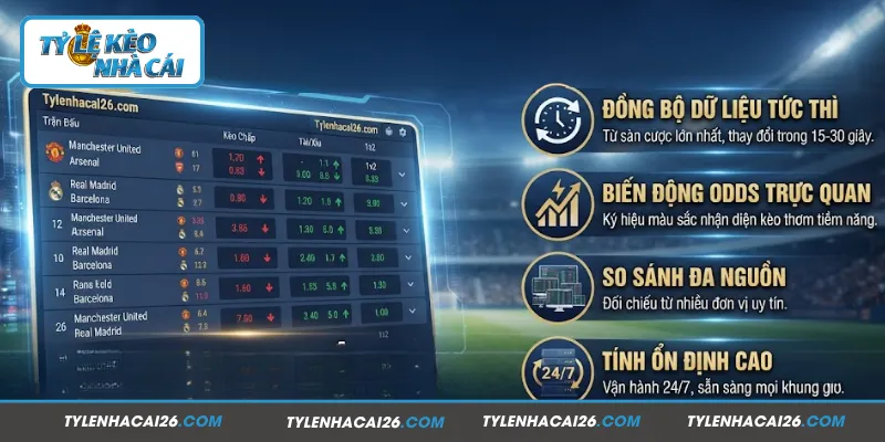 Hệ thống tỷ lệ nhà cái đa dạng trên website